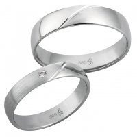 Modell No.61012/4+5mm/ 950 Platin